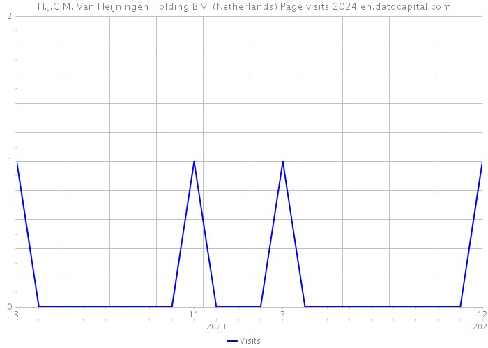 H.J.G.M. Van Heijningen Holding B.V. (Netherlands) Page visits 2024 