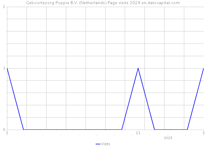 Geboortezorg Poppie B.V. (Netherlands) Page visits 2024 