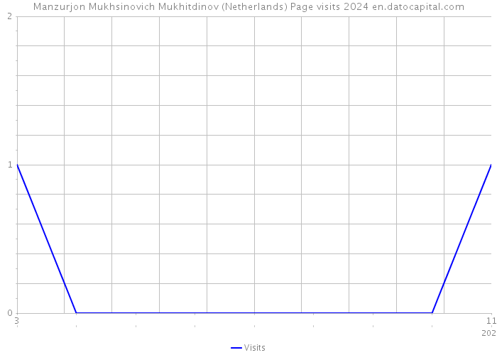 Manzurjon Mukhsinovich Mukhitdinov (Netherlands) Page visits 2024 