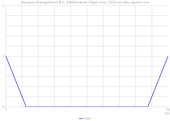 Haegens Management B.V. (Netherlands) Page visits 2024 