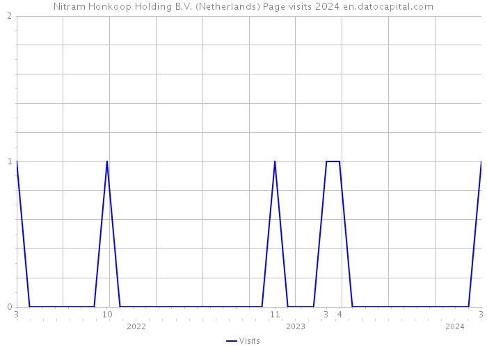 Nitram Honkoop Holding B.V. (Netherlands) Page visits 2024 