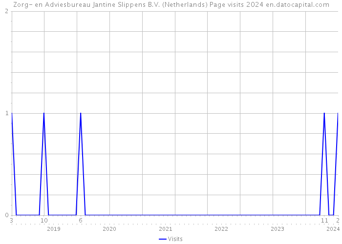 Zorg- en Adviesbureau Jantine Slippens B.V. (Netherlands) Page visits 2024 