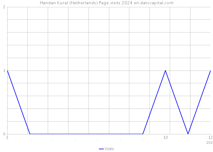 Handan Kural (Netherlands) Page visits 2024 
