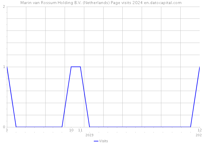Marin van Rossum Holding B.V. (Netherlands) Page visits 2024 