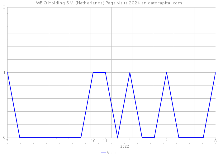 WEJO Holding B.V. (Netherlands) Page visits 2024 