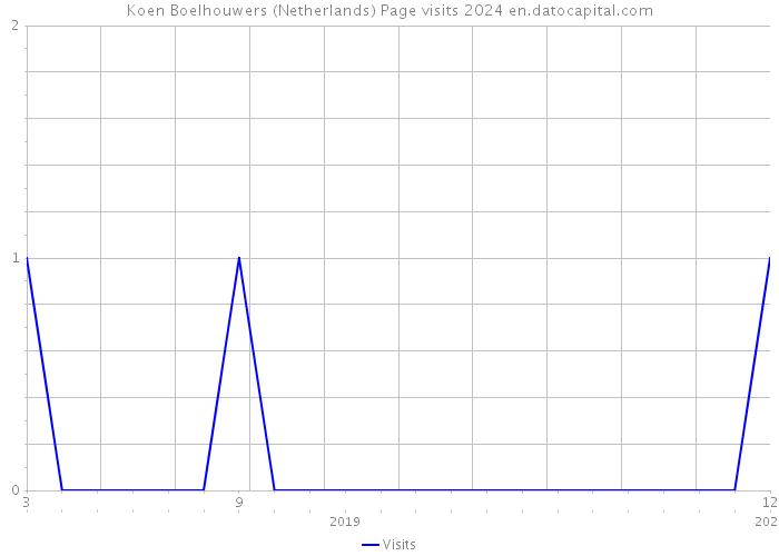 Koen Boelhouwers (Netherlands) Page visits 2024 