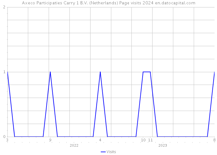 Axeco Participaties Carry 1 B.V. (Netherlands) Page visits 2024 