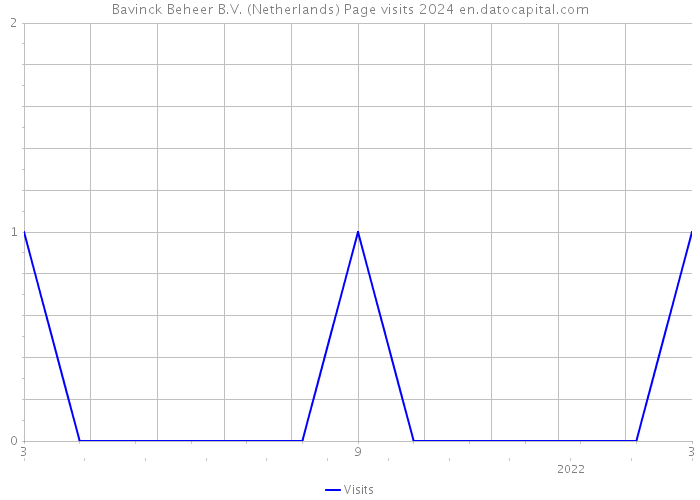 Bavinck Beheer B.V. (Netherlands) Page visits 2024 