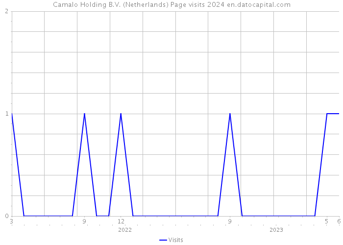 Camalo Holding B.V. (Netherlands) Page visits 2024 