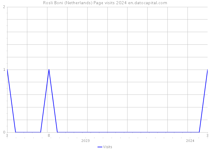 Rosli Boni (Netherlands) Page visits 2024 