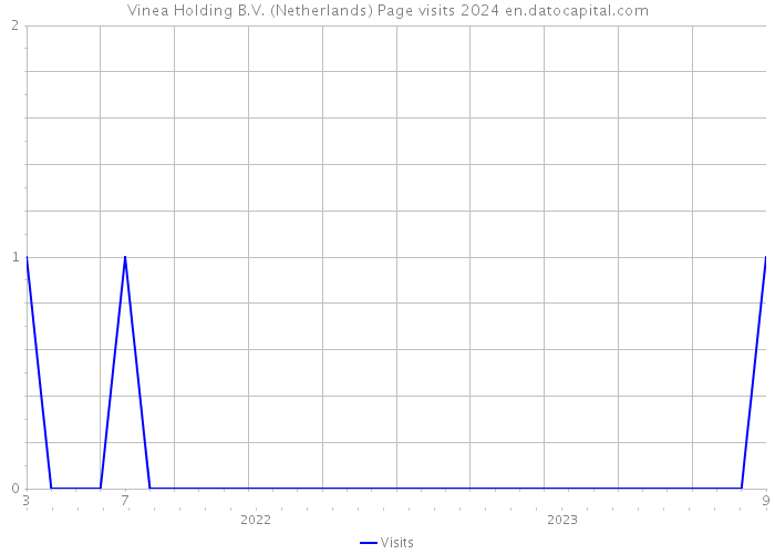 Vinea Holding B.V. (Netherlands) Page visits 2024 