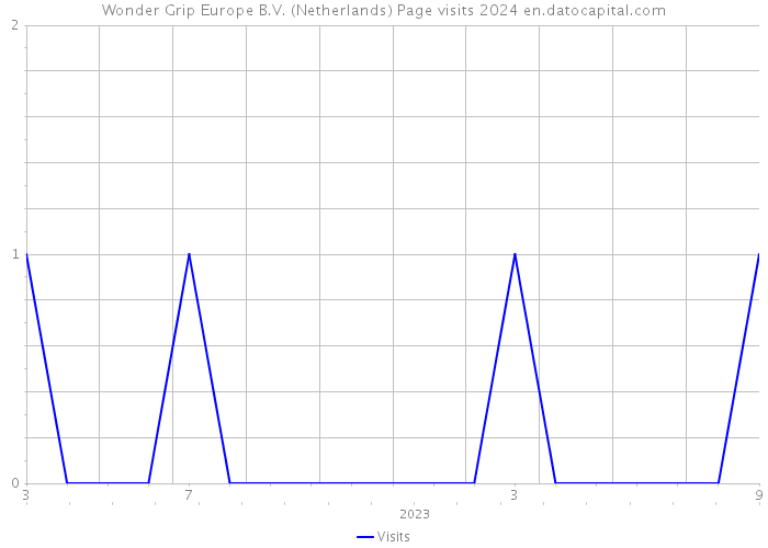 Wonder Grip Europe B.V. (Netherlands) Page visits 2024 