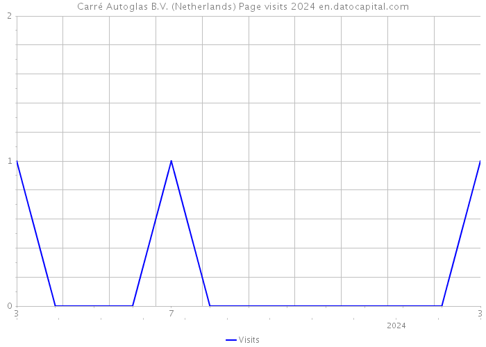 Carré Autoglas B.V. (Netherlands) Page visits 2024 