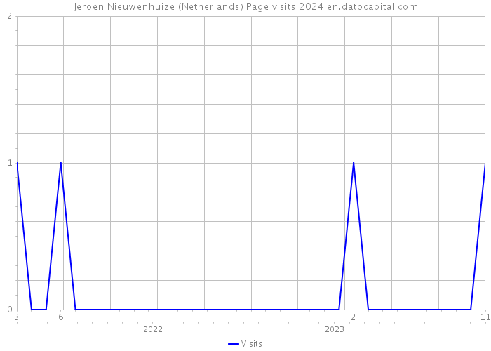 Jeroen Nieuwenhuize (Netherlands) Page visits 2024 