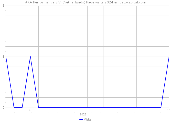 AKA Performance B.V. (Netherlands) Page visits 2024 