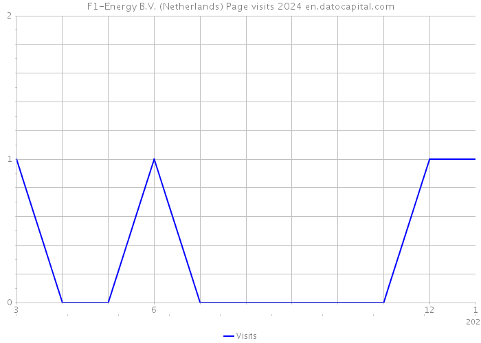 F1-Energy B.V. (Netherlands) Page visits 2024 