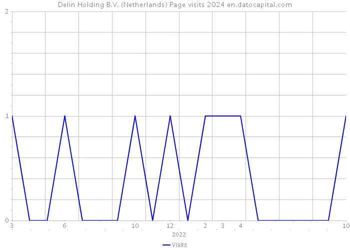 Delin Holding B.V. (Netherlands) Page visits 2024 