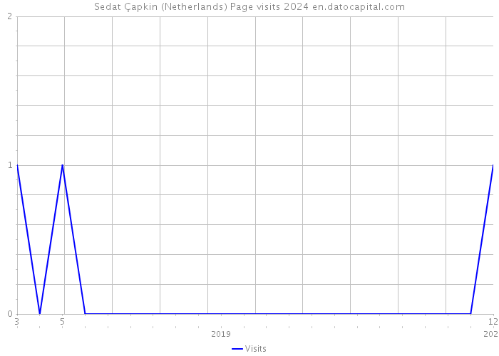 Sedat Çapkin (Netherlands) Page visits 2024 