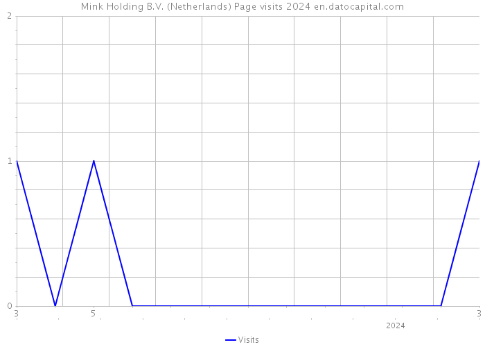 Mink Holding B.V. (Netherlands) Page visits 2024 