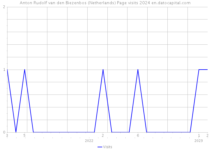 Anton Rudolf van den Biezenbos (Netherlands) Page visits 2024 