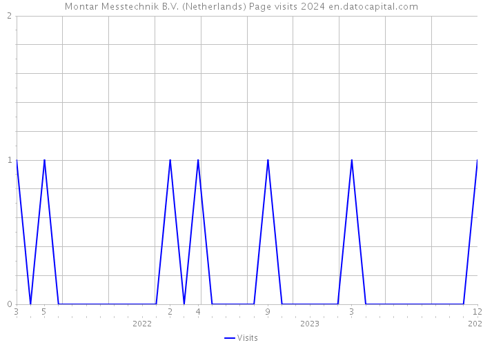 Montar Messtechnik B.V. (Netherlands) Page visits 2024 