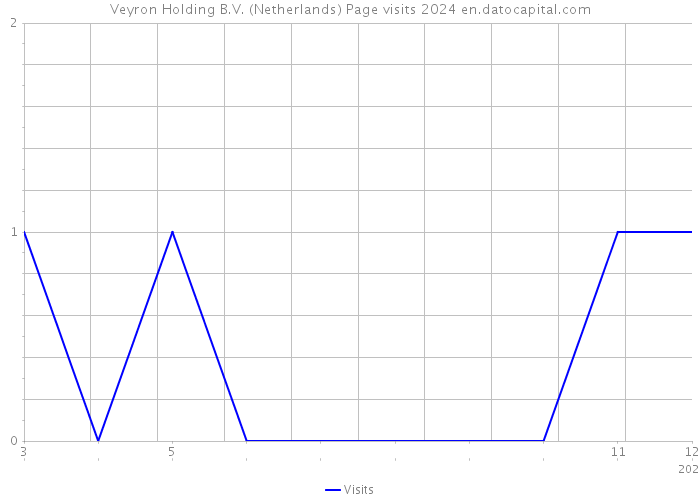 Veyron Holding B.V. (Netherlands) Page visits 2024 