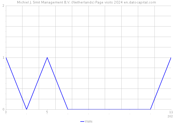 Michiel J. Smit Management B.V. (Netherlands) Page visits 2024 
