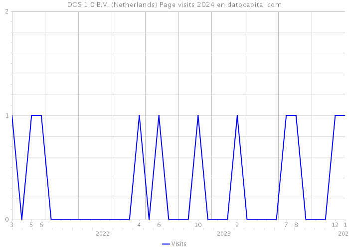 DOS 1.0 B.V. (Netherlands) Page visits 2024 