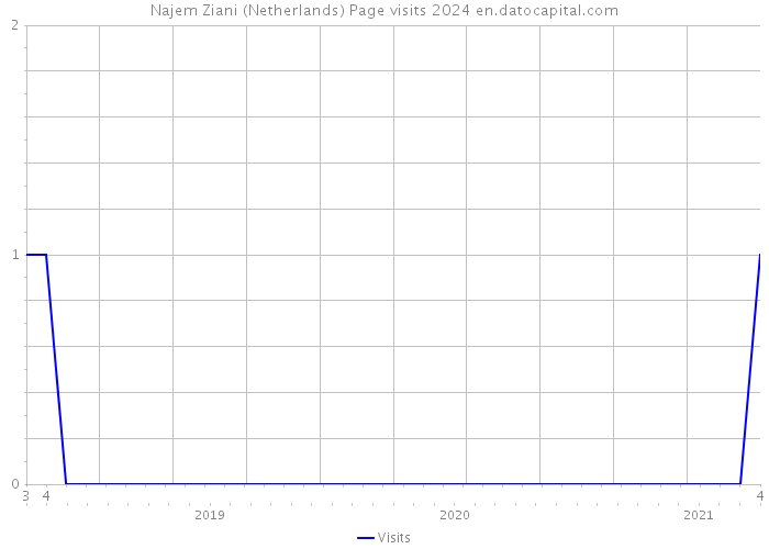 Najem Ziani (Netherlands) Page visits 2024 