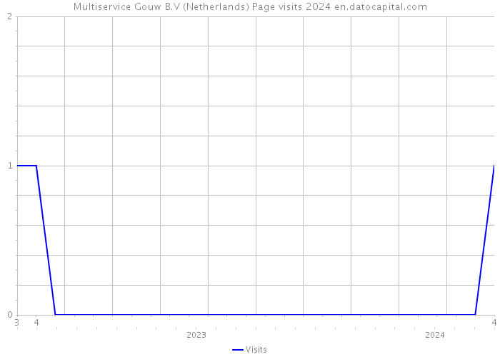 Multiservice Gouw B.V (Netherlands) Page visits 2024 