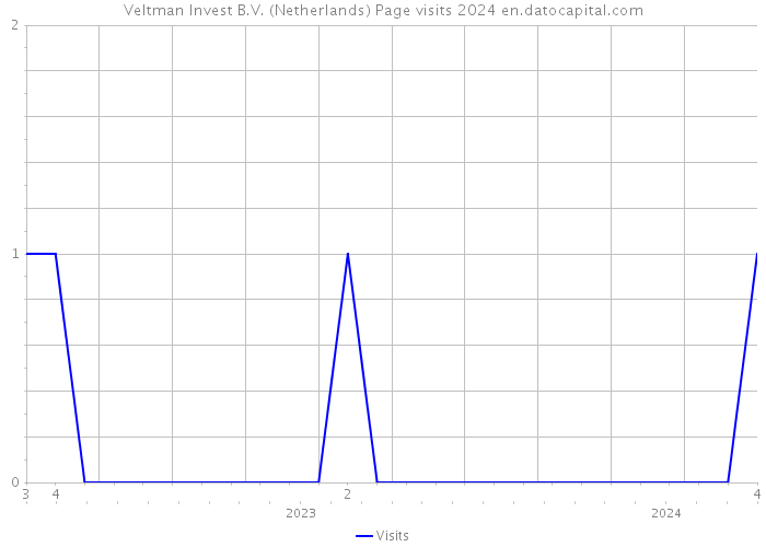 Veltman Invest B.V. (Netherlands) Page visits 2024 