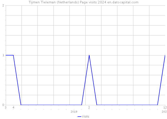 Tijmen Tieleman (Netherlands) Page visits 2024 