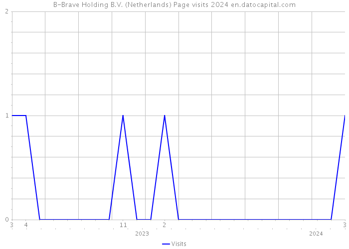 B-Brave Holding B.V. (Netherlands) Page visits 2024 