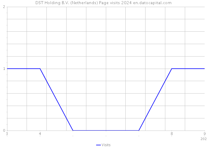 DST Holding B.V. (Netherlands) Page visits 2024 