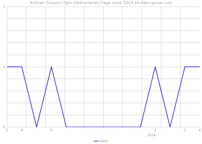 Aslihan Ozyazici Egin (Netherlands) Page visits 2024 