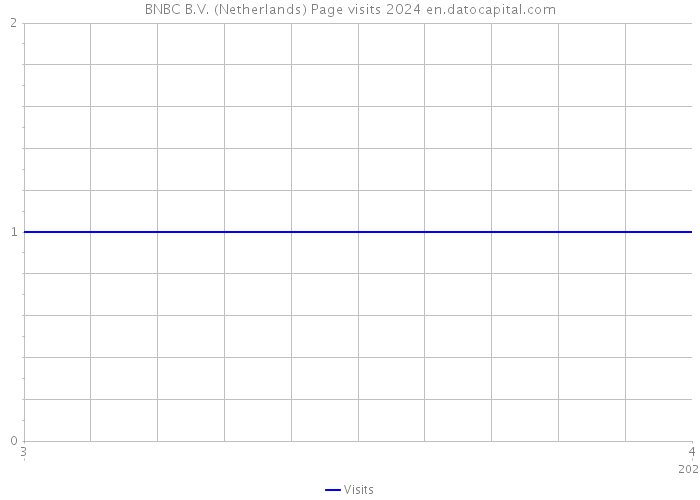 BNBC B.V. (Netherlands) Page visits 2024 
