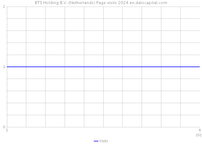 BTS Holding B.V. (Netherlands) Page visits 2024 