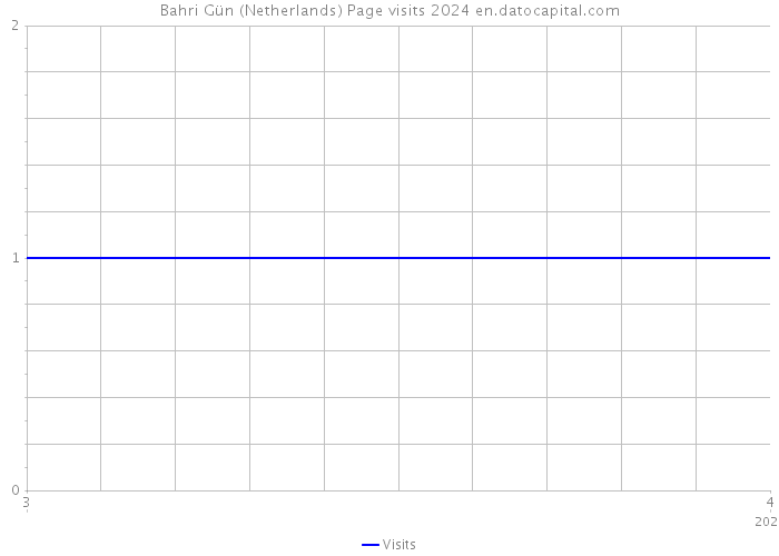 Bahri Gün (Netherlands) Page visits 2024 
