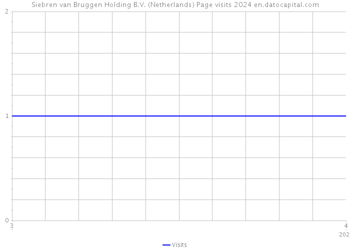Siebren van Bruggen Holding B.V. (Netherlands) Page visits 2024 