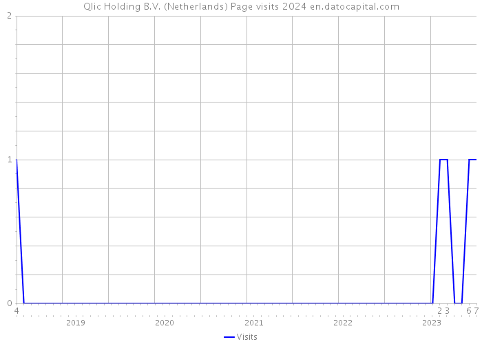 Qlic Holding B.V. (Netherlands) Page visits 2024 