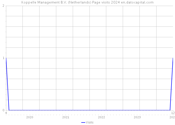 Koppelle Management B.V. (Netherlands) Page visits 2024 