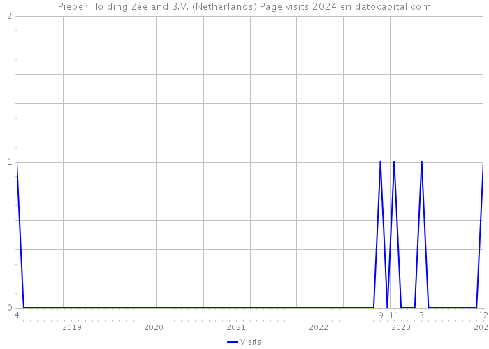 Pieper Holding Zeeland B.V. (Netherlands) Page visits 2024 