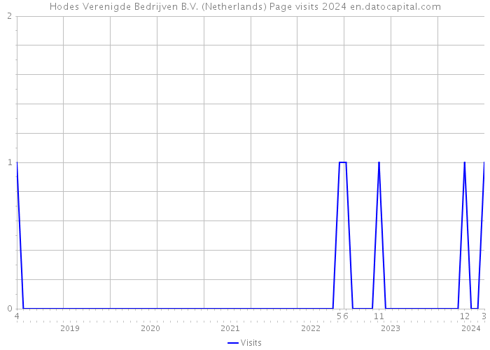 Hodes Verenigde Bedrijven B.V. (Netherlands) Page visits 2024 