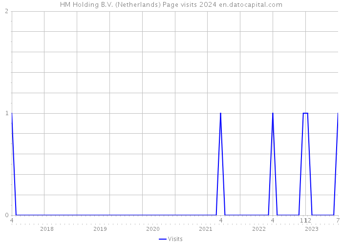 HM Holding B.V. (Netherlands) Page visits 2024 