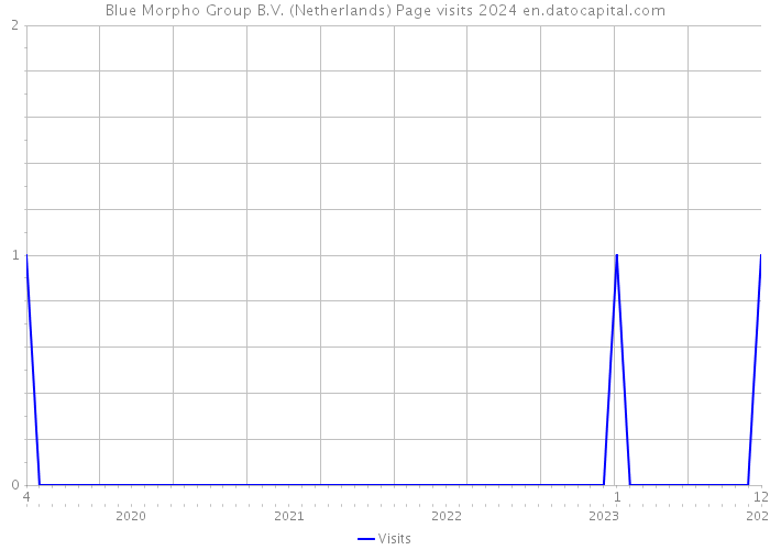 Blue Morpho Group B.V. (Netherlands) Page visits 2024 