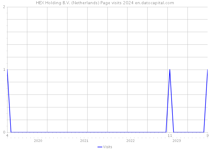 HEX Holding B.V. (Netherlands) Page visits 2024 