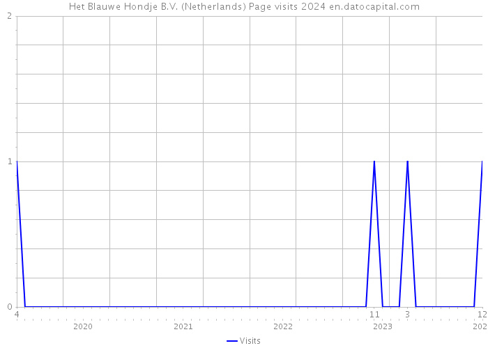 Het Blauwe Hondje B.V. (Netherlands) Page visits 2024 