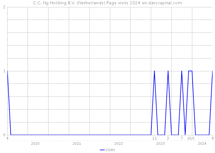 C.C. Ng Holding B.V. (Netherlands) Page visits 2024 