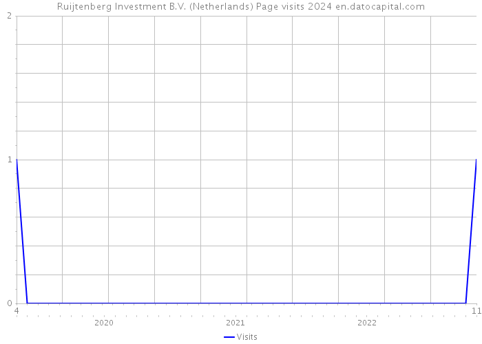 Ruijtenberg Investment B.V. (Netherlands) Page visits 2024 