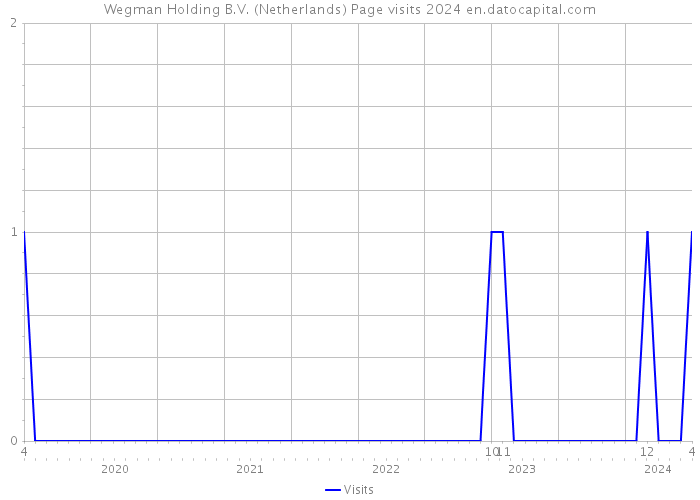 Wegman Holding B.V. (Netherlands) Page visits 2024 